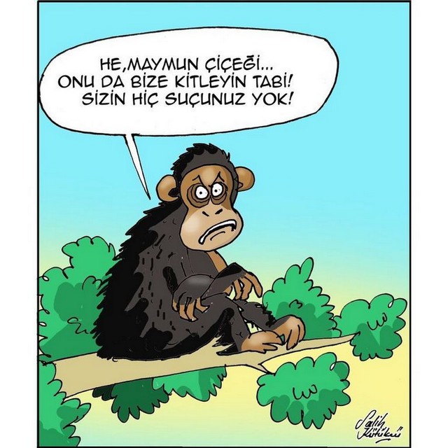 Karikatur007255