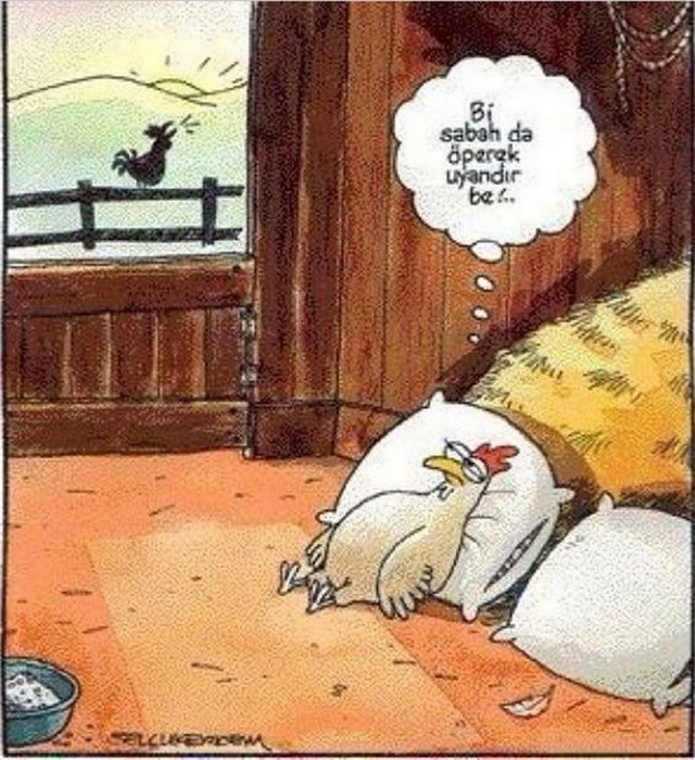 Karikatur007274