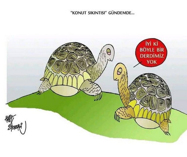 Karikatur007892