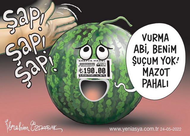 Karikatur008055