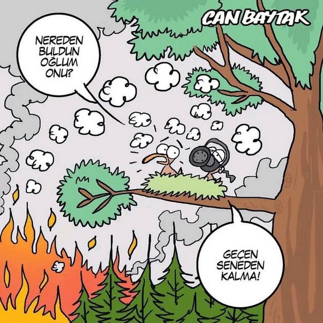 Karikatur008112