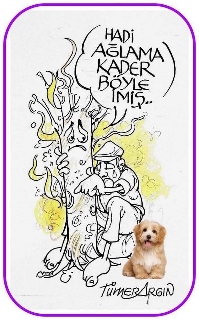 Karikatur008285