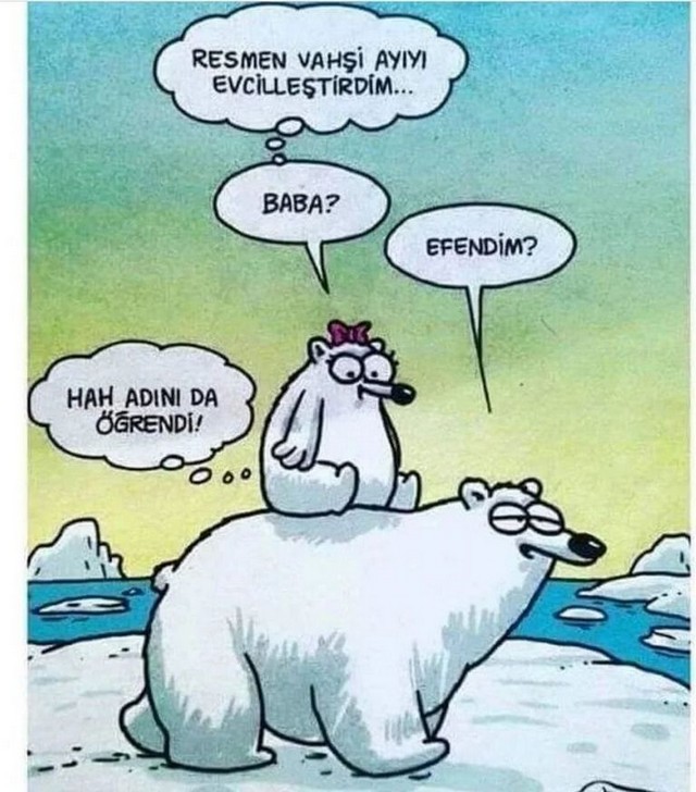 Karikatur008589