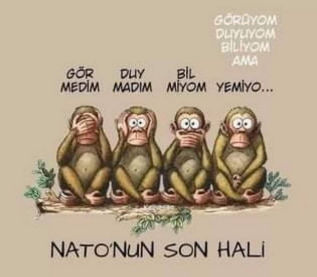 Karikatur008855