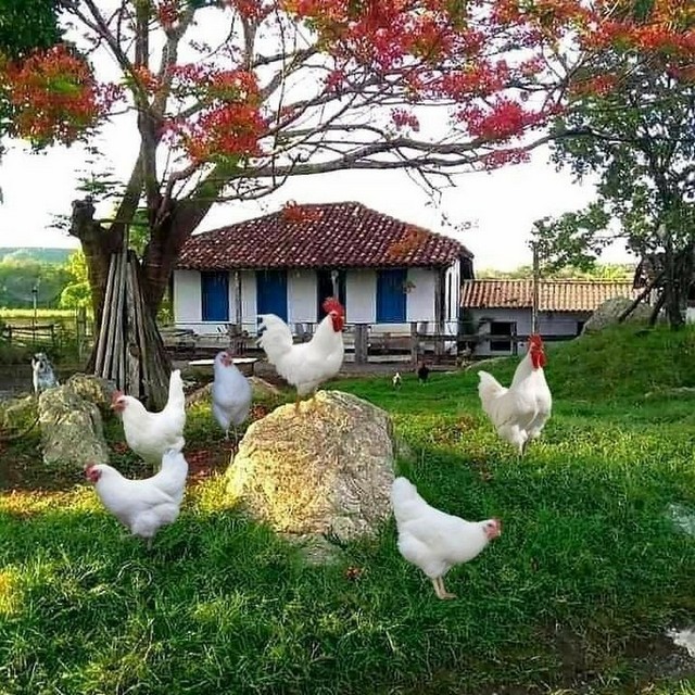 Karikatur008858