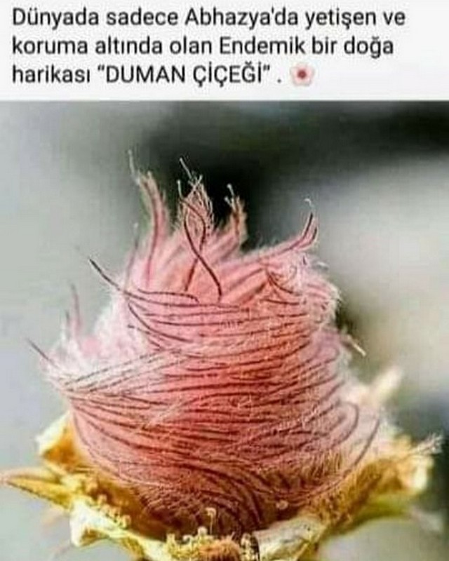 Karikatur008864