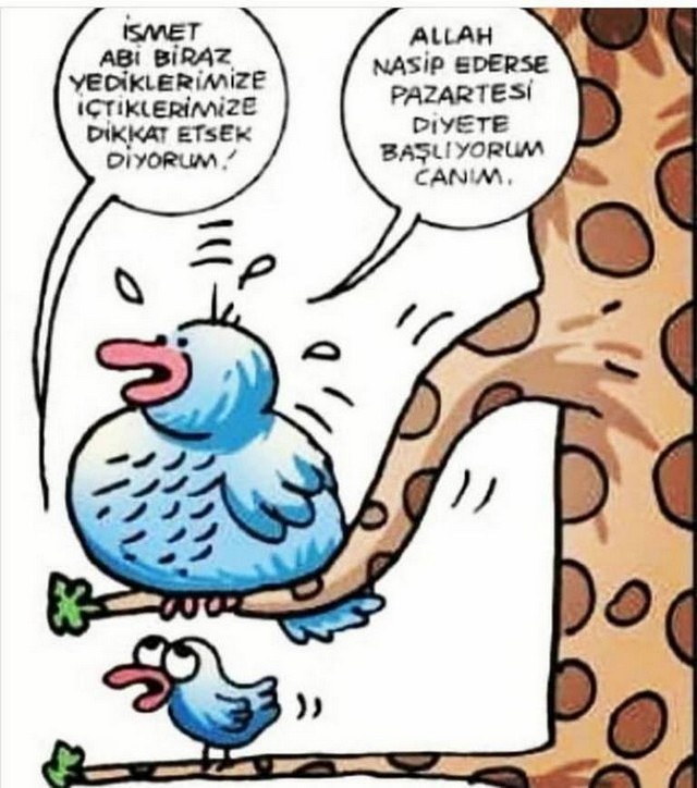 Karikatur008875