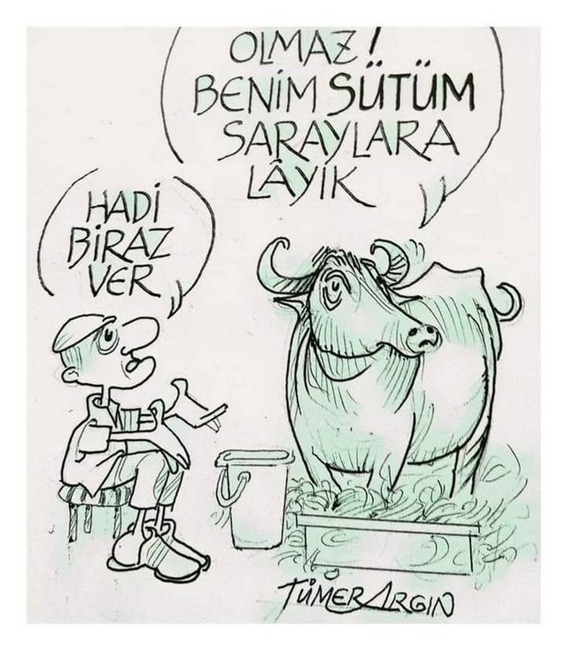 Karikatur008898