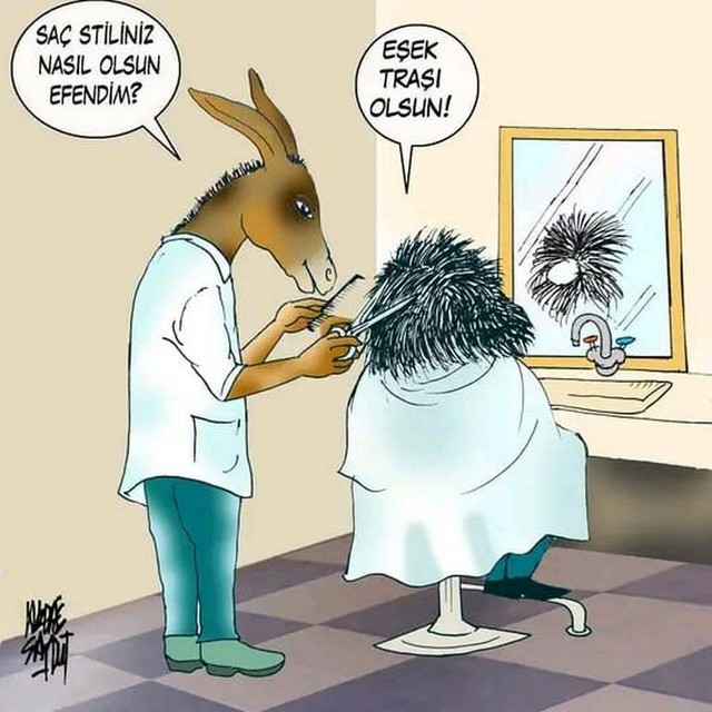 Karikatur008966