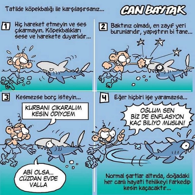 Karikatur008975
