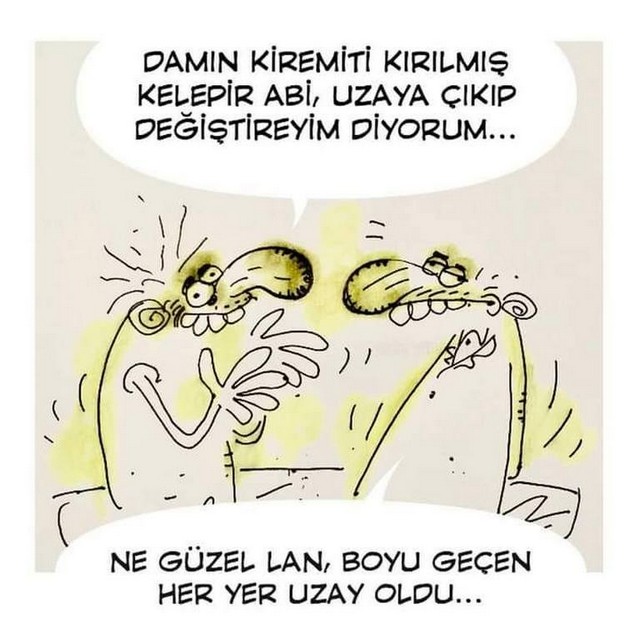 Karikatur009059