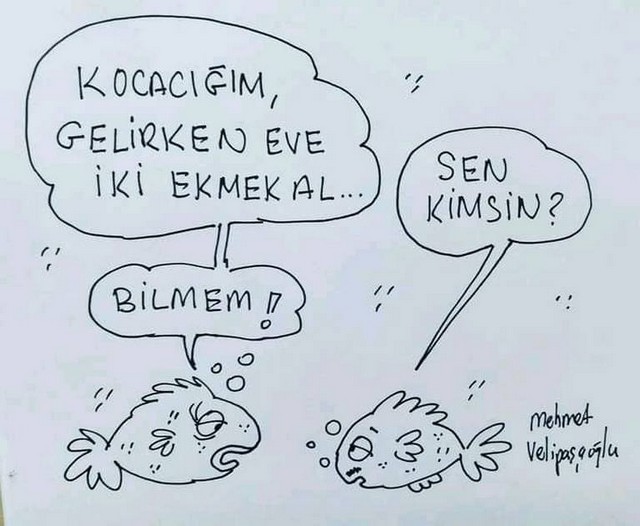 Karikatur009067