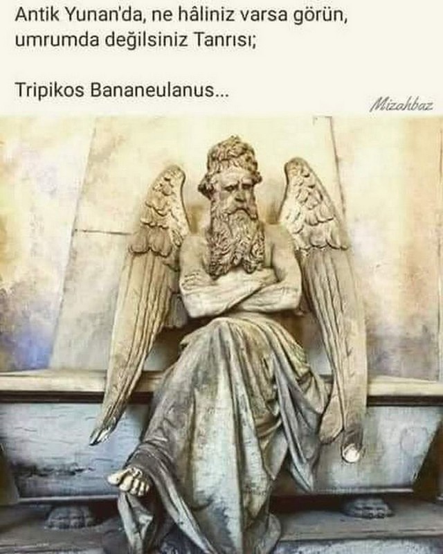 Karikatur009100
