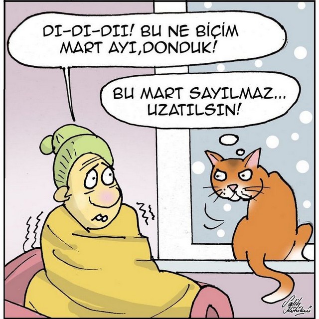 Karikatur009503