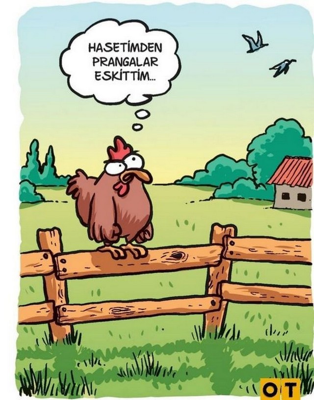 Karikatur010347