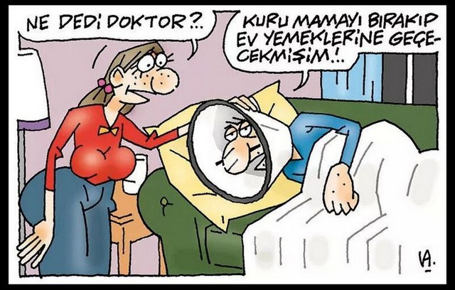 Karikatur010519