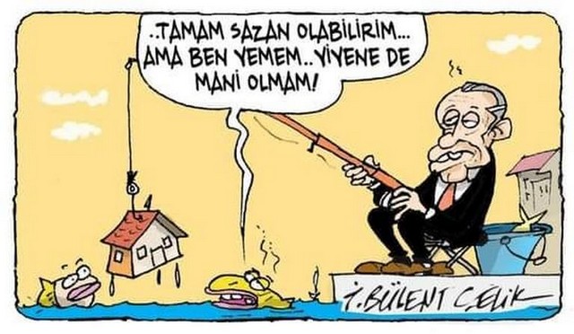 Karikatur010613