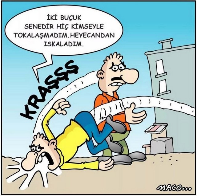 Karikatur010715