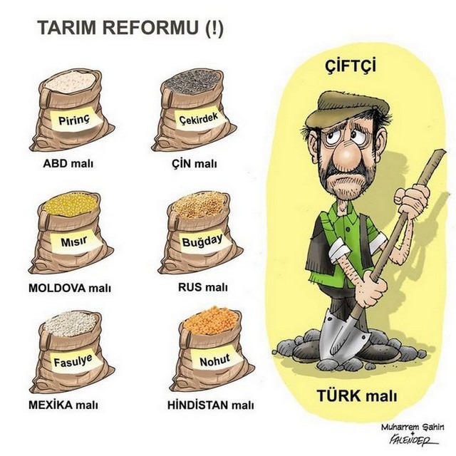Karikatur010988