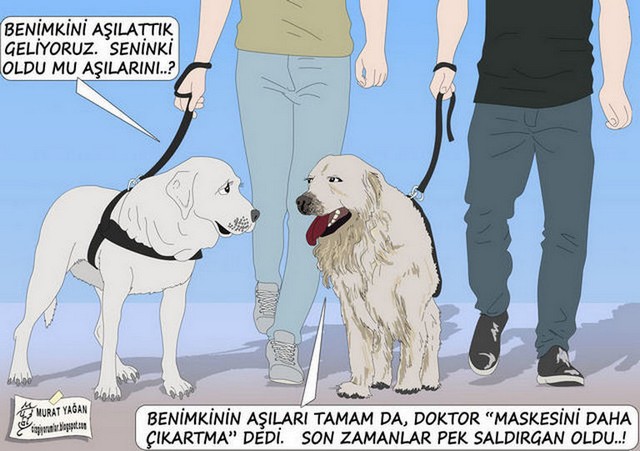 Karikatur011095