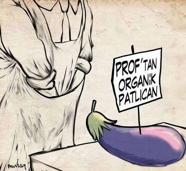 Karikatur011297