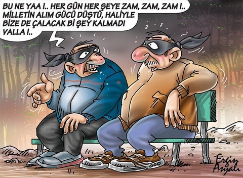 Karikatur011529