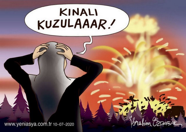 Karikatur011913