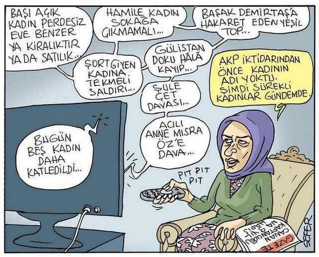 Karikatur012017