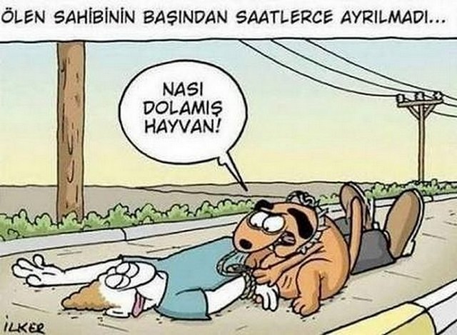 Karikatur012032
