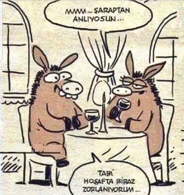 Karikatur012164