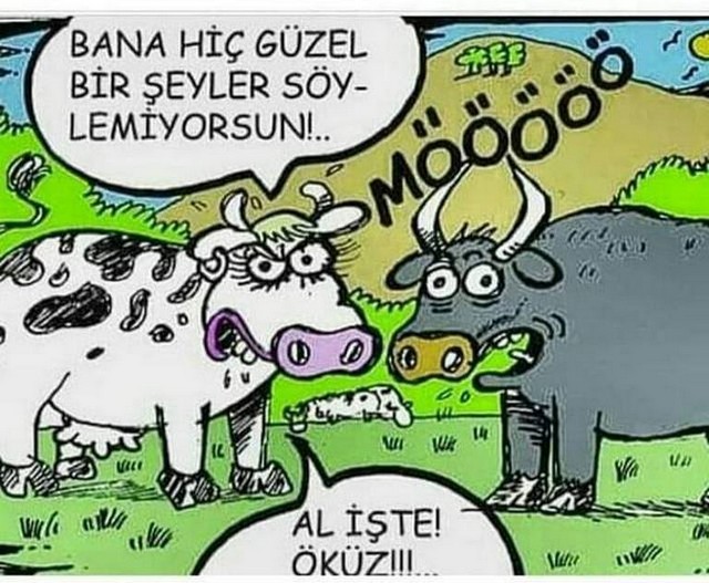 Karikatur012174