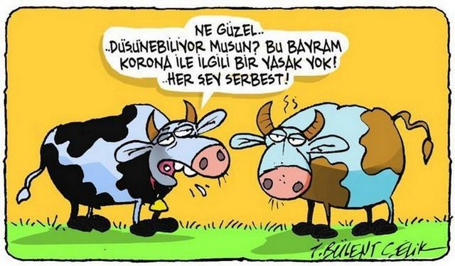 Karikatur012586