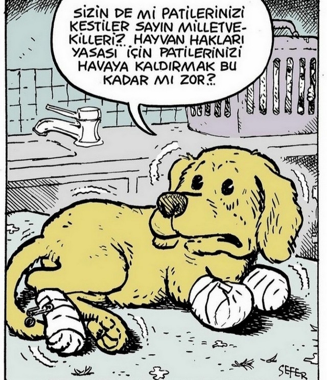 Karikatur012626