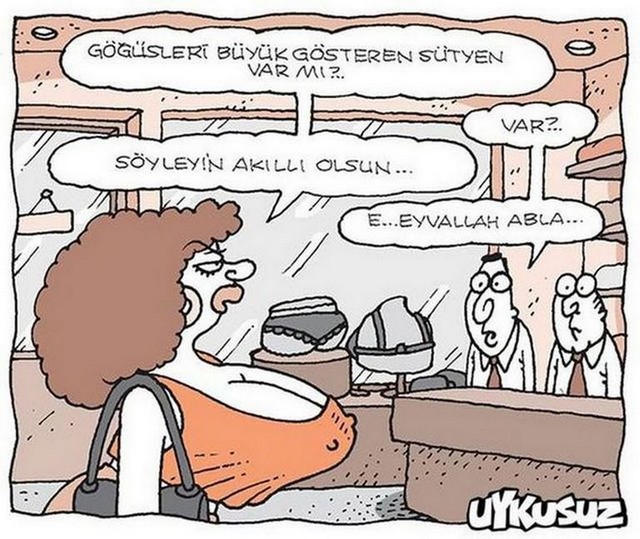 Karikatur012662