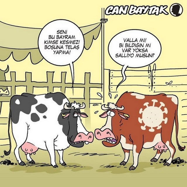 Karikatur012694