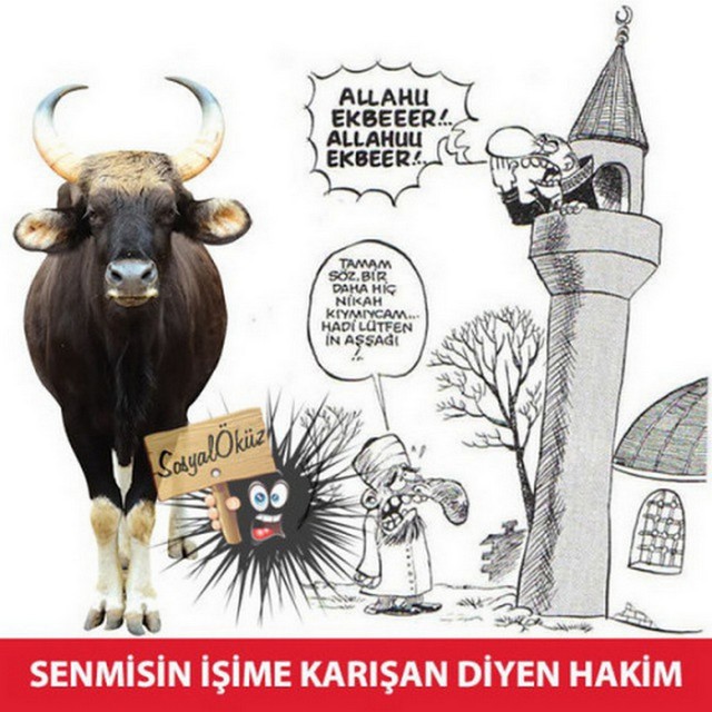 Karikatur012812