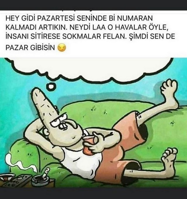 Karikatur012813