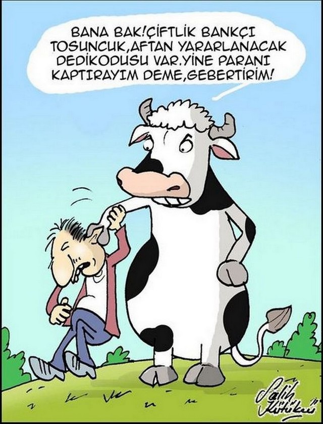 Karikatur012852