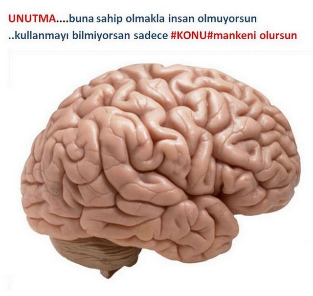 Karikatur012877