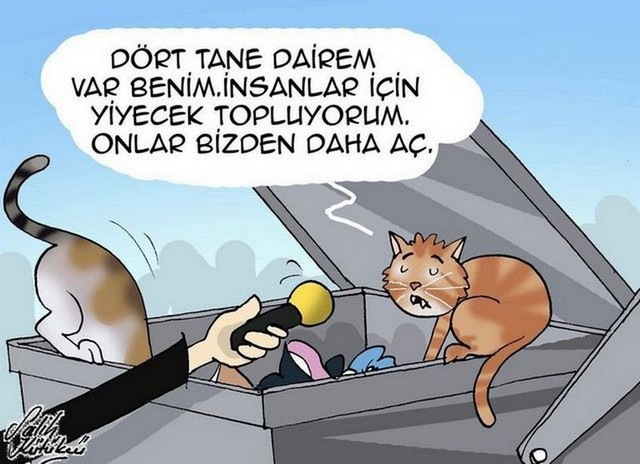 Karikatur013141