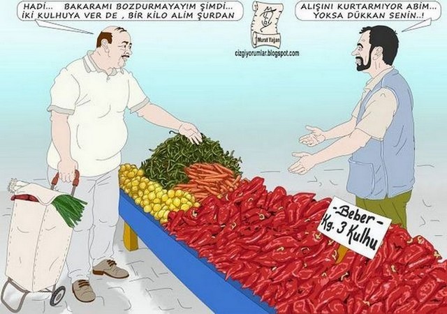 Karikatur013277