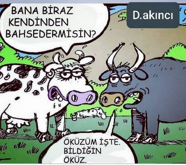 Karikatur013318