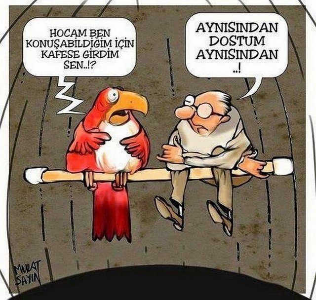 Karikatur013324