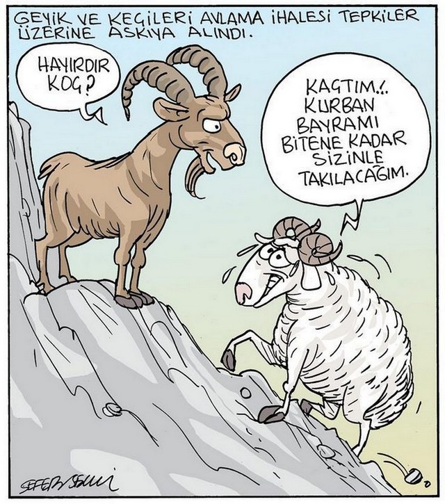 Karikatur013540