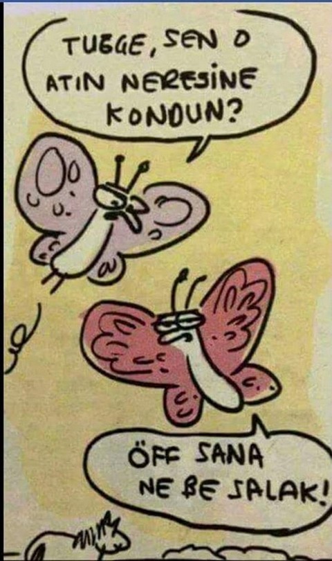 Karikatur013659