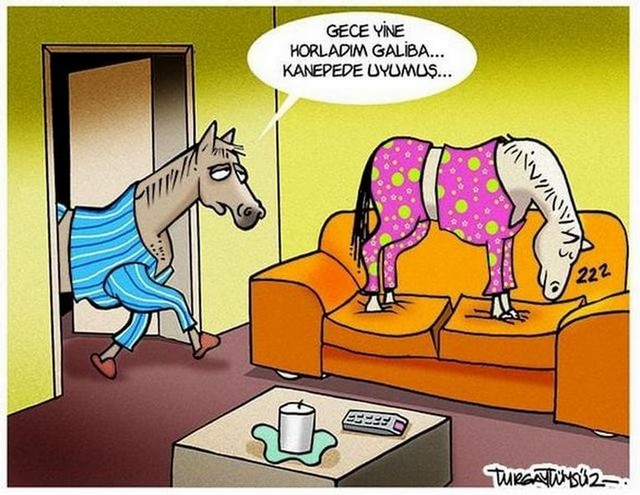 Karikatur013984
