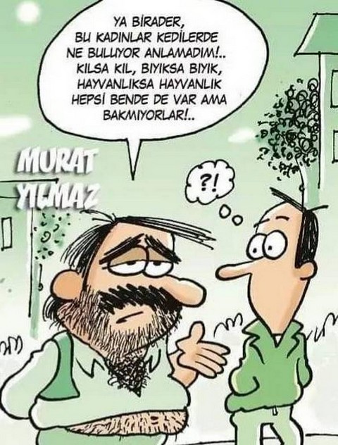Karikatur014022