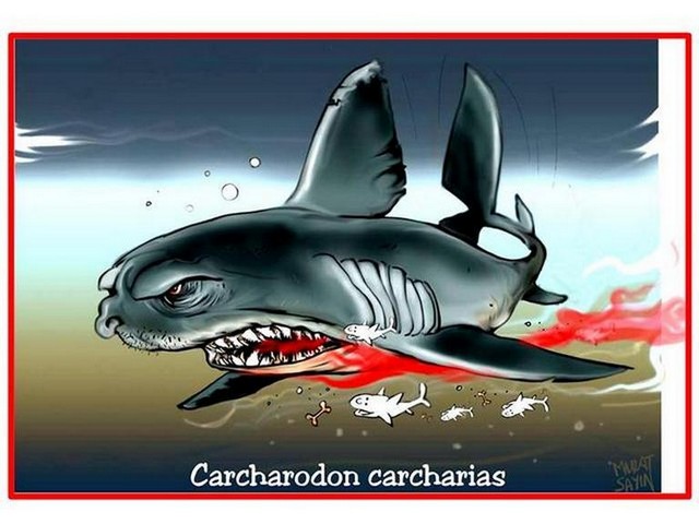 Karikatur014295