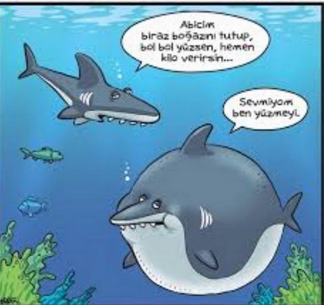 Karikatur014356