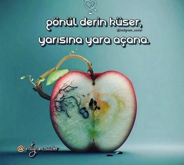 Karikatur014473